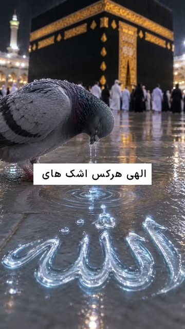 پست اینستاگرام Dbd6gVjJoSp