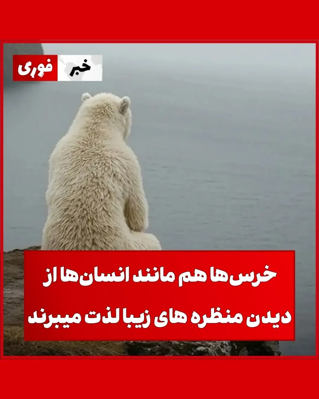 پست اینستاگرام DbdL_6aDs25