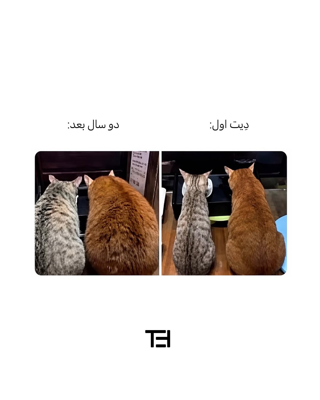 پست اینستاگرام DbdQ9v_I-YP