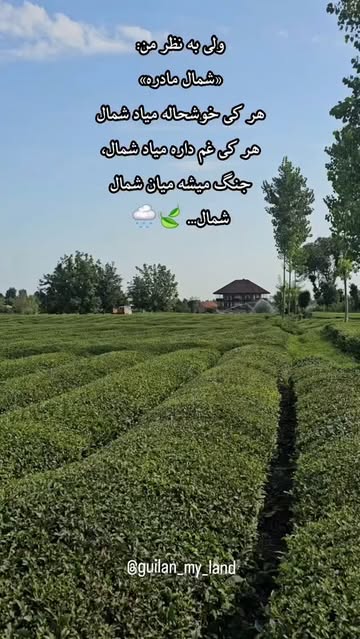 پست اینستاگرام DbdrTGjNnh4