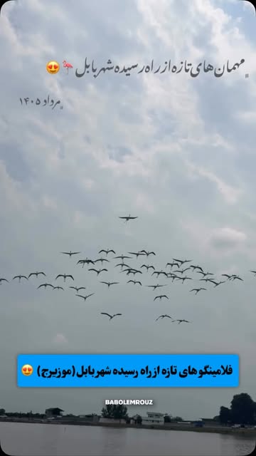 پست اینستاگرام DbfjpZ7sRFJ