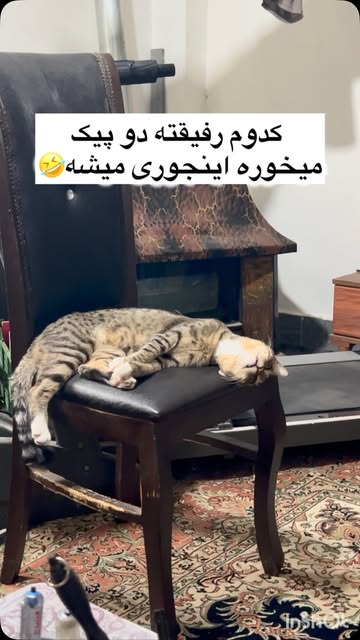 پست اینستاگرام DbfwUAeiw48
