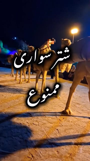 پست اینستاگرام DbgON0LsS1y