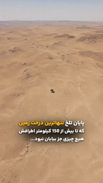 پست اینستاگرام Dbgi__ARhKy