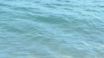 پست اینستاگرام Dbi0PZOIY7b