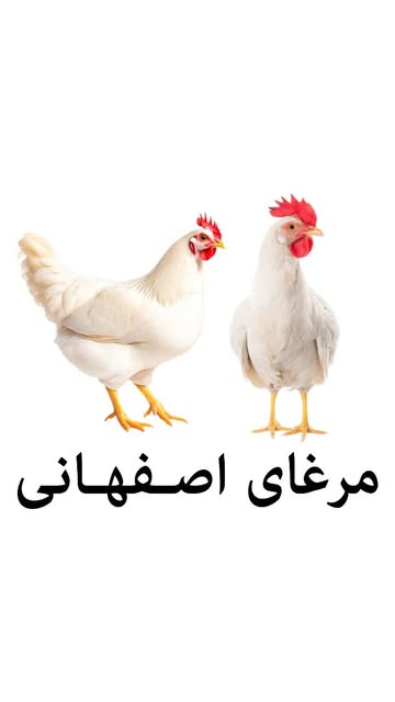پست اینستاگرام DbiCAMDND7e