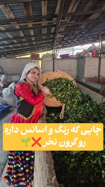پست اینستاگرام DbiHxSttm31