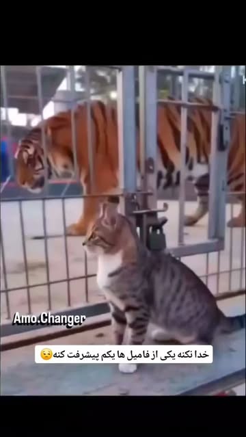 پست اینستاگرام DbkdLugMHoi