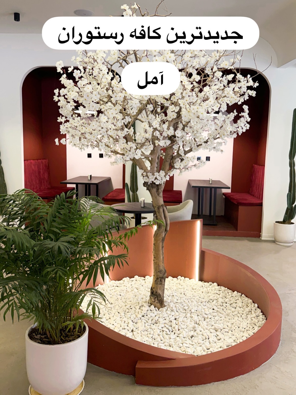 پست اینستاگرام DbkhhFplxbW