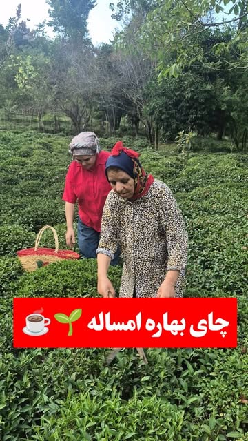 پست اینستاگرام Dbknn7rNerZ