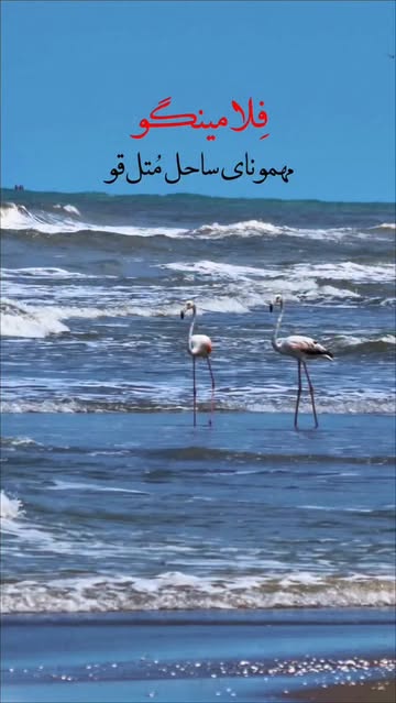 پست اینستاگرام DblJvcTKz75