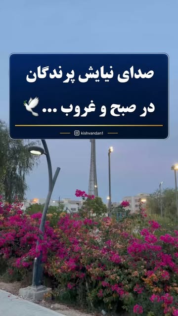 پست اینستاگرام DblZAW3udcj