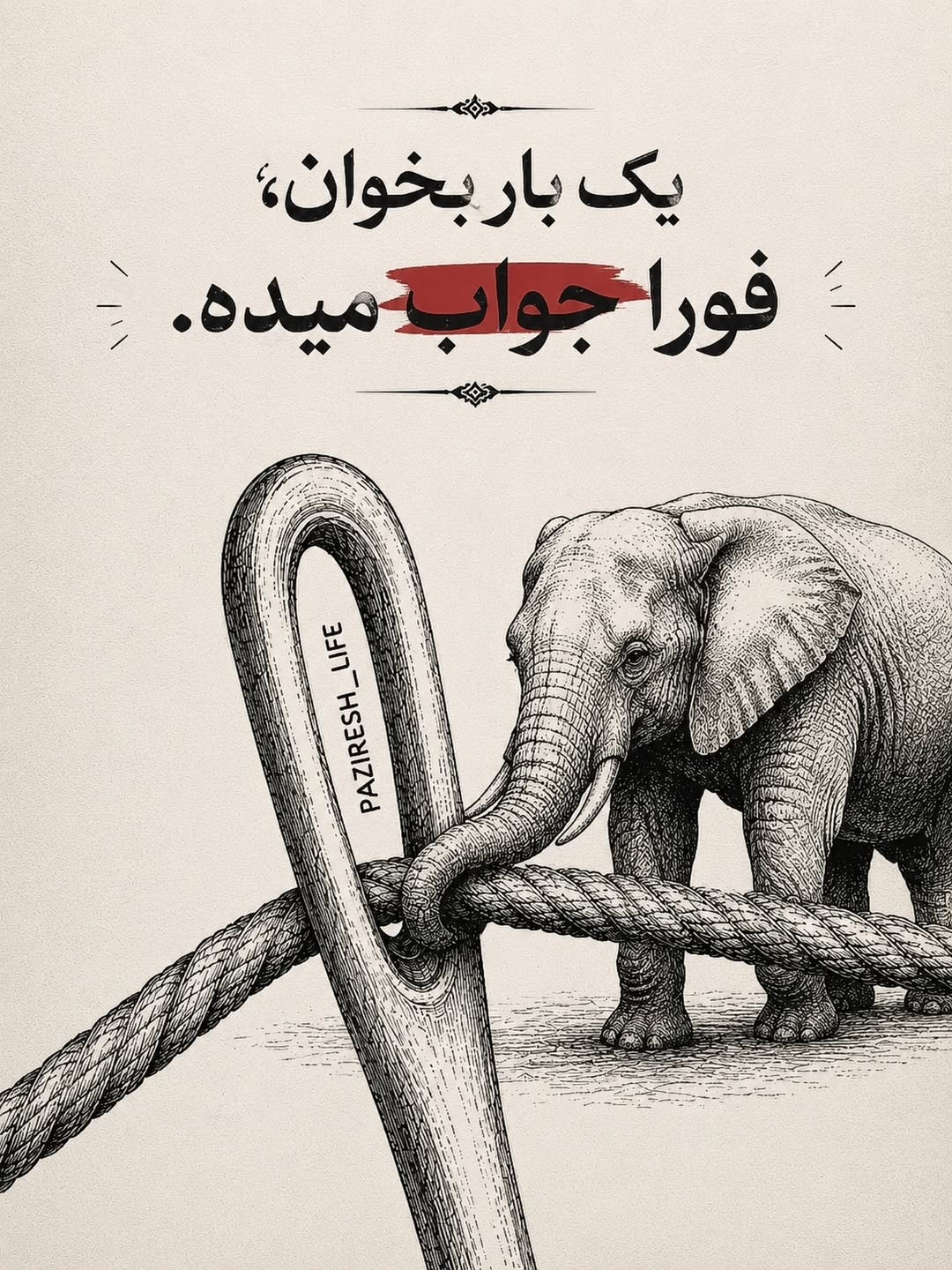 پست اینستاگرام Dblmml-D3h3