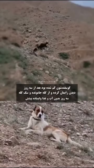 پست اینستاگرام Dbm-7QMMQHq