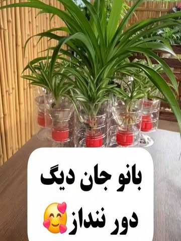 پست اینستاگرام Dbm3eFDAiQv