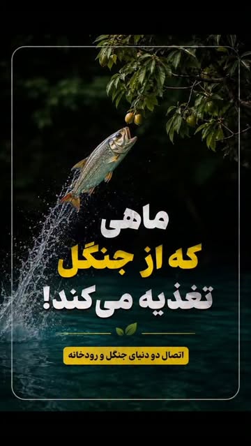 پست اینستاگرام Dbn1R2ioG6w