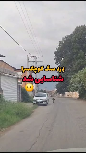 پست اینستاگرام Dbn5Dk-T22U