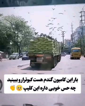 پست اینستاگرام DbnZysAjkT-