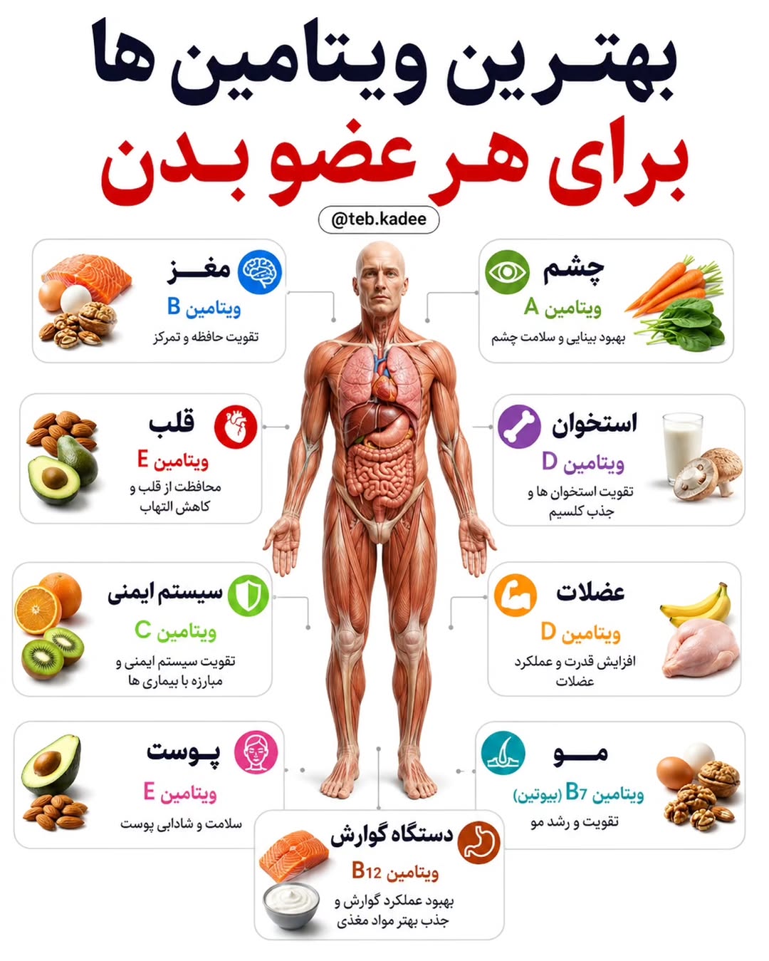 پست اینستاگرام DboJKxGNd74