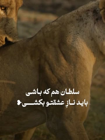 پست اینستاگرام DboKmedjW69