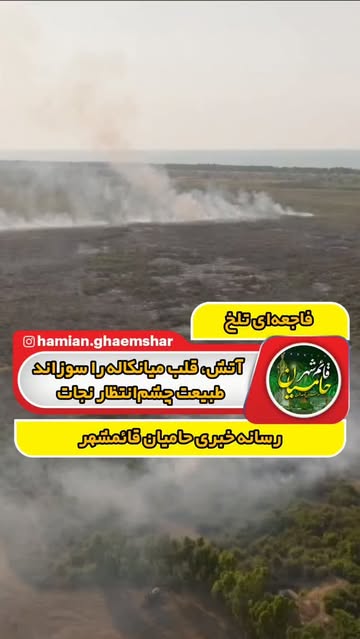پست اینستاگرام DboMqn3u65E
