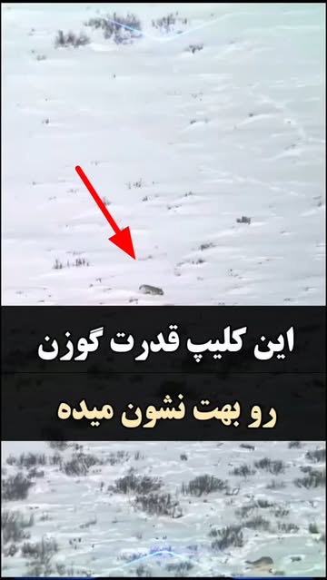 پست اینستاگرام Dbp5xAPIVTS
