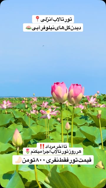 پست اینستاگرام Dbp97VmIaRQ