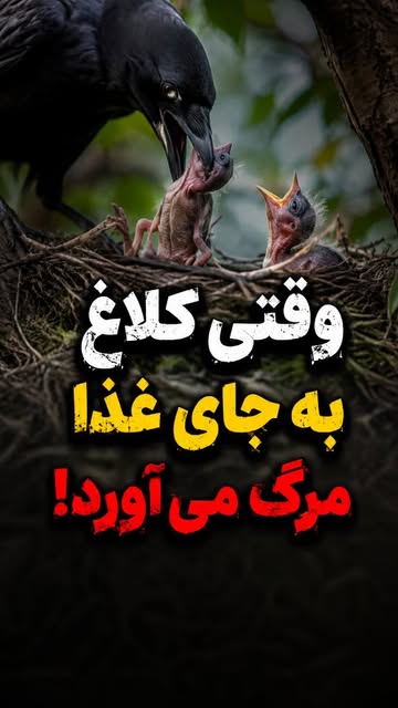 پست اینستاگرام Dbpn2CVIdHK