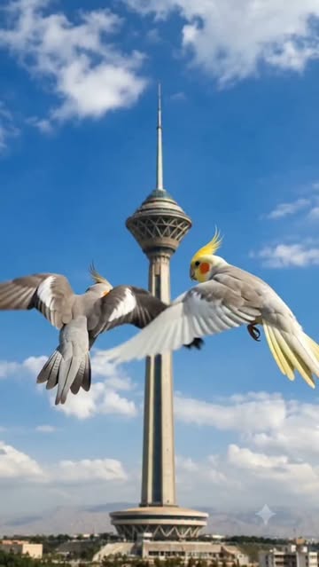 پست اینستاگرام DbpolwMBZJj