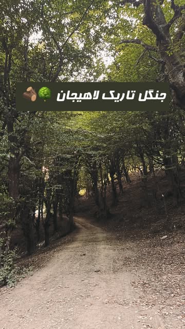 پست اینستاگرام Dbpw815ORml