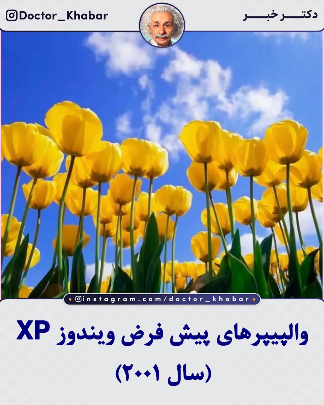 پست اینستاگرام Dbpww2UlwUp