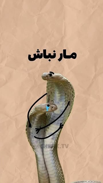 پست اینستاگرام Dbs6AybxfCD