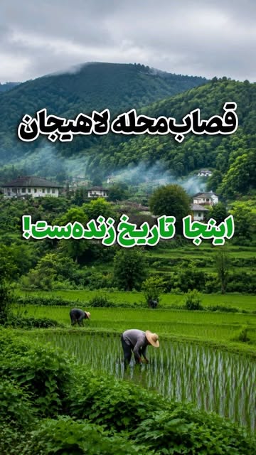 پست اینستاگرام Dbs7p-hIkQd