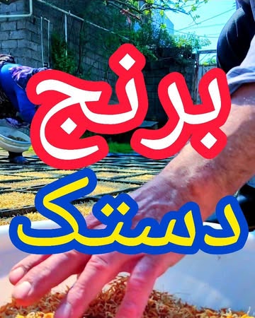 پست اینستاگرام DbtE18uCMc2