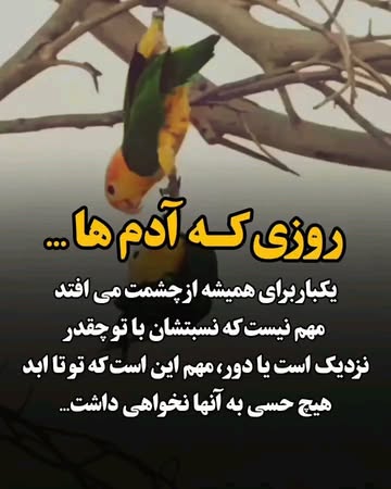 پست اینستاگرام Dbv4G4KCpaW