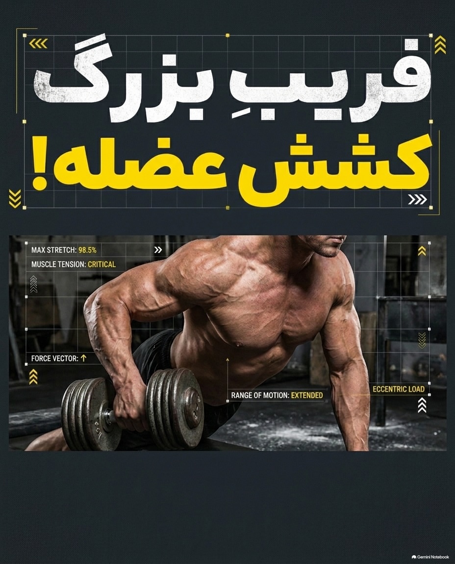 پست اینستاگرام Dbv89Amjshn
