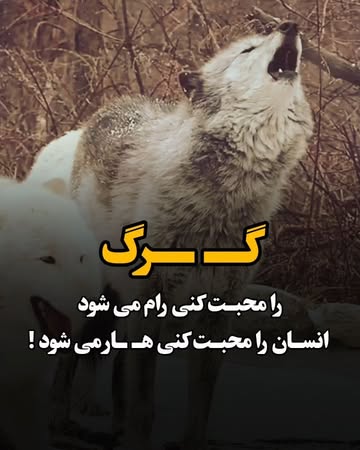پست اینستاگرام Dbv8zTMAMrb
