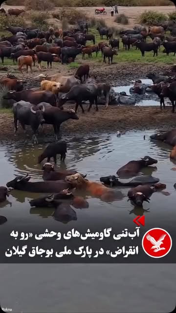 پست اینستاگرام DbvKQVbol-c
