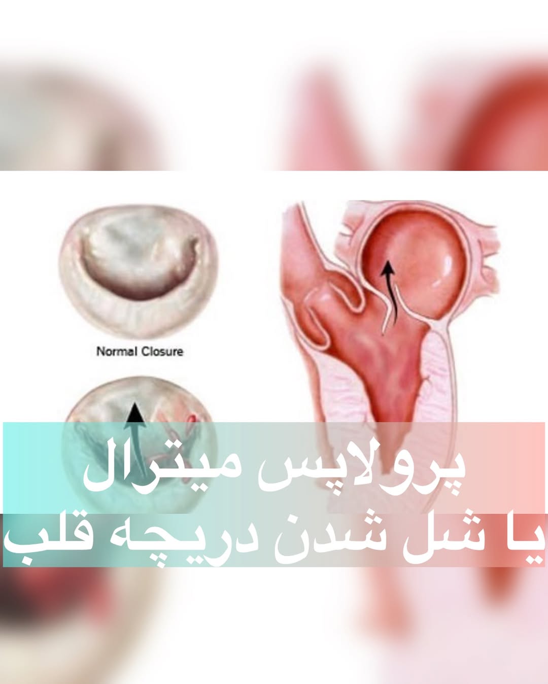 پست اینستاگرام DbvYzzgCCgc