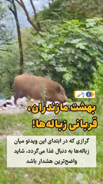 پست اینستاگرام Dbx9eROsLZZ