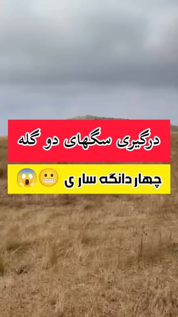 پست اینستاگرام DbxIuEKIvJc