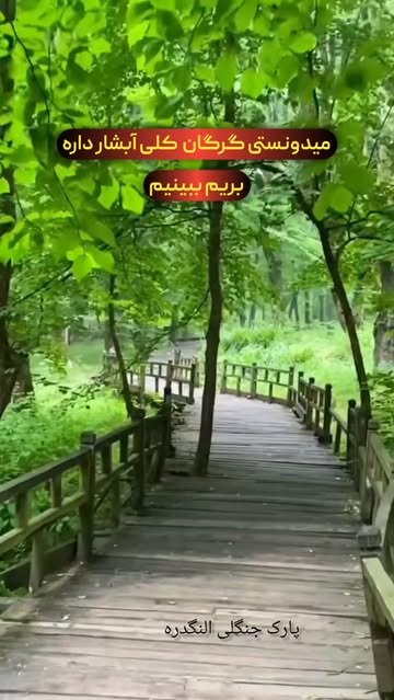 پست اینستاگرام DbxNpE4Sg4Z