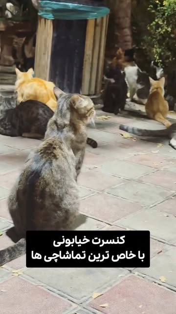 پست اینستاگرام DbxawJhMgaL