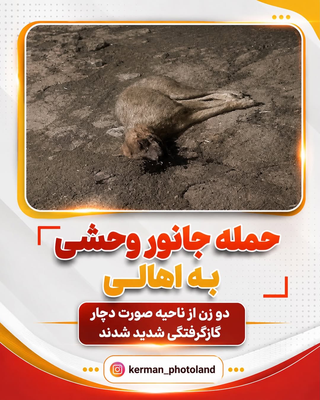 پست اینستاگرام DbxuReit9Gs