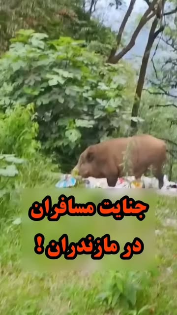پست اینستاگرام DbxzBBINPaj