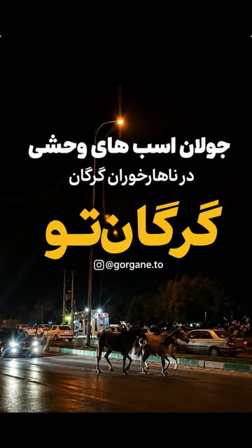 پست اینستاگرام Dby2peKtnuf
