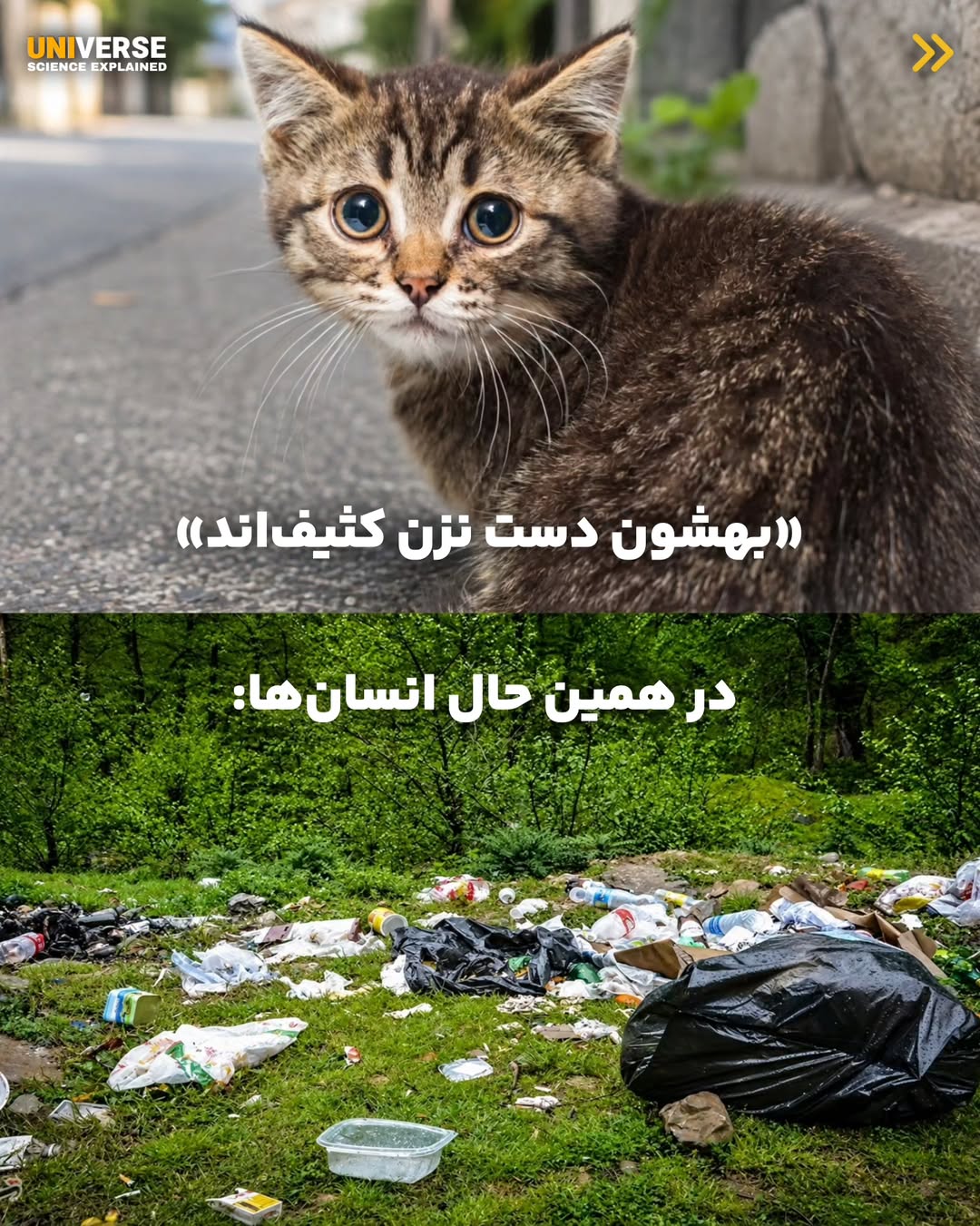 پست اینستاگرام DbykFfFEfSL