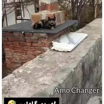 پست اینستاگرام DbytKX1jQgF
