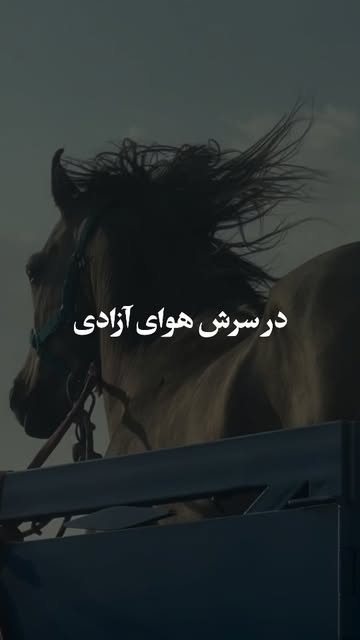 پست اینستاگرام Dbz1_QDs3XD