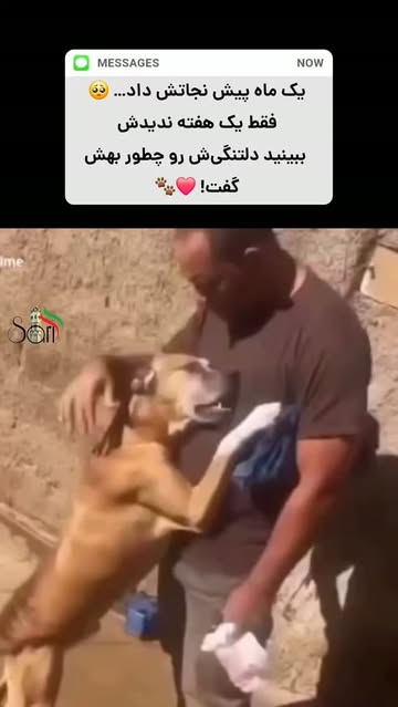 پست اینستاگرام Dbzv6hOo19j